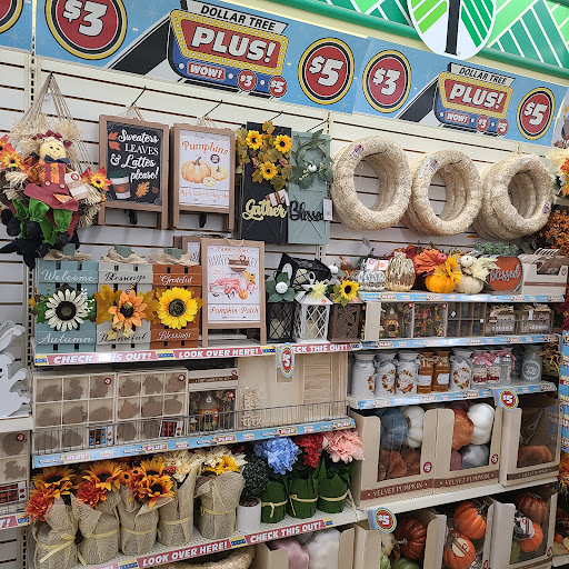 Dollar Store «Dollar Tree», reviews and photos, 2301 Cross Timbers Rd #150, Flower Mound, TX 75028, USA