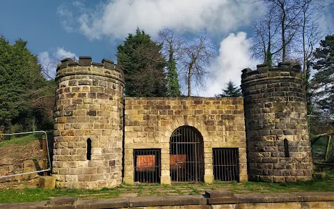 Headingley Bear Pit image