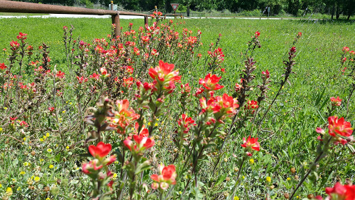 Park «Trophy Club Park», reviews and photos, 2885 Trophy Park Dr, Trophy Club, TX 76262, USA