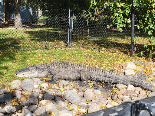 Zoo «Chahinkapa Zoo», reviews and photos, 1004 R J Hughes Dr, Wahpeton, ND 58075, USA