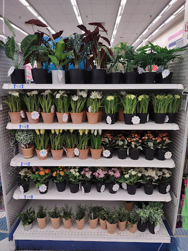 Discount Store «99 Cents Only Stores», reviews and photos, 7919 E Thomas Rd, Scottsdale, AZ 85251, USA