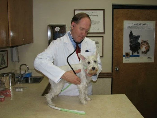 VCA Woodland East Animal Hospital image