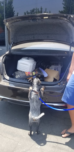 Pet Supply Store «Global Pet Food Outlet», reviews and photos, 20210 Normandie Ave, Torrance, CA 90502, USA