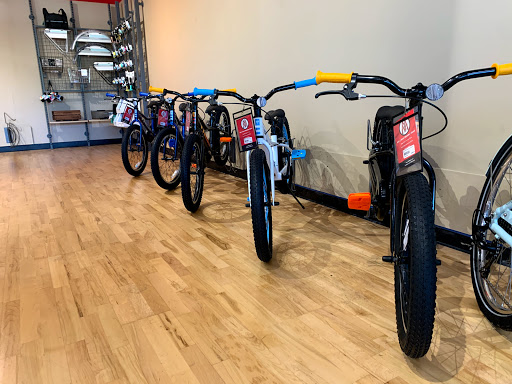 Bicycle Store «M & M Cyclery», reviews and photos, 734 Butterfield Rd, Mundelein, IL 60060, USA