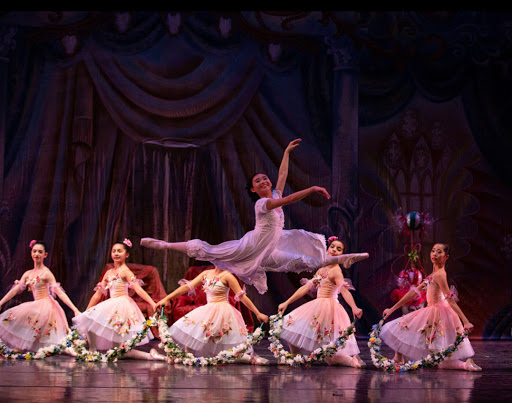 Ballet School «Classical Ballet Theatre», reviews and photos, 320 Victory Dr, Herndon, VA 20170, USA