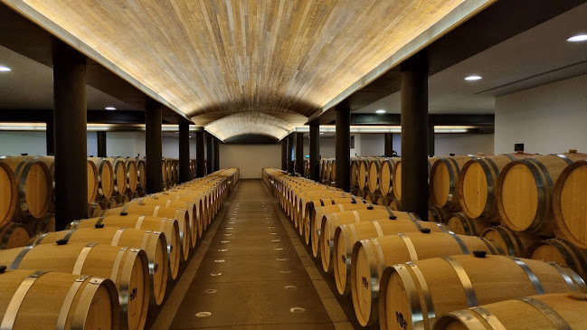 Opiniones de Clos Apalta Winery en Santa Cruz - Arquitecto