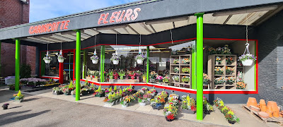 Carincotte (Ets) à Annezin