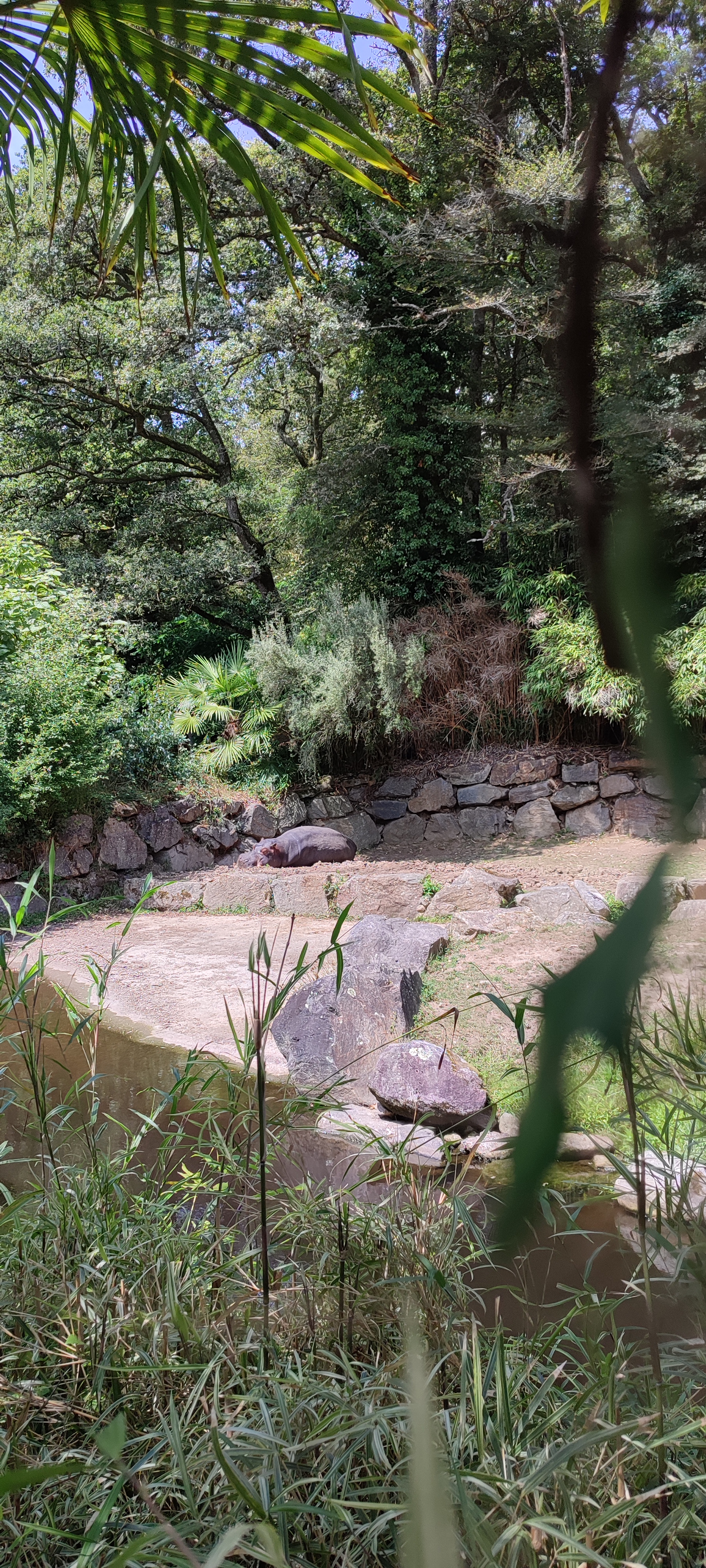 Photo n° 26 de l'avis de Jérémy.a fait le 22/07/2023 à 17:03