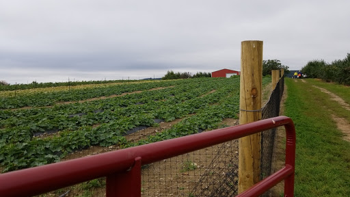Orchard «Barton Orchards - Noxon Road Store Open Year Round - The Farm is CLOSED for the Season.», reviews and photos, 63 Apple Tree Ln, Poughquag, NY 12570, USA
