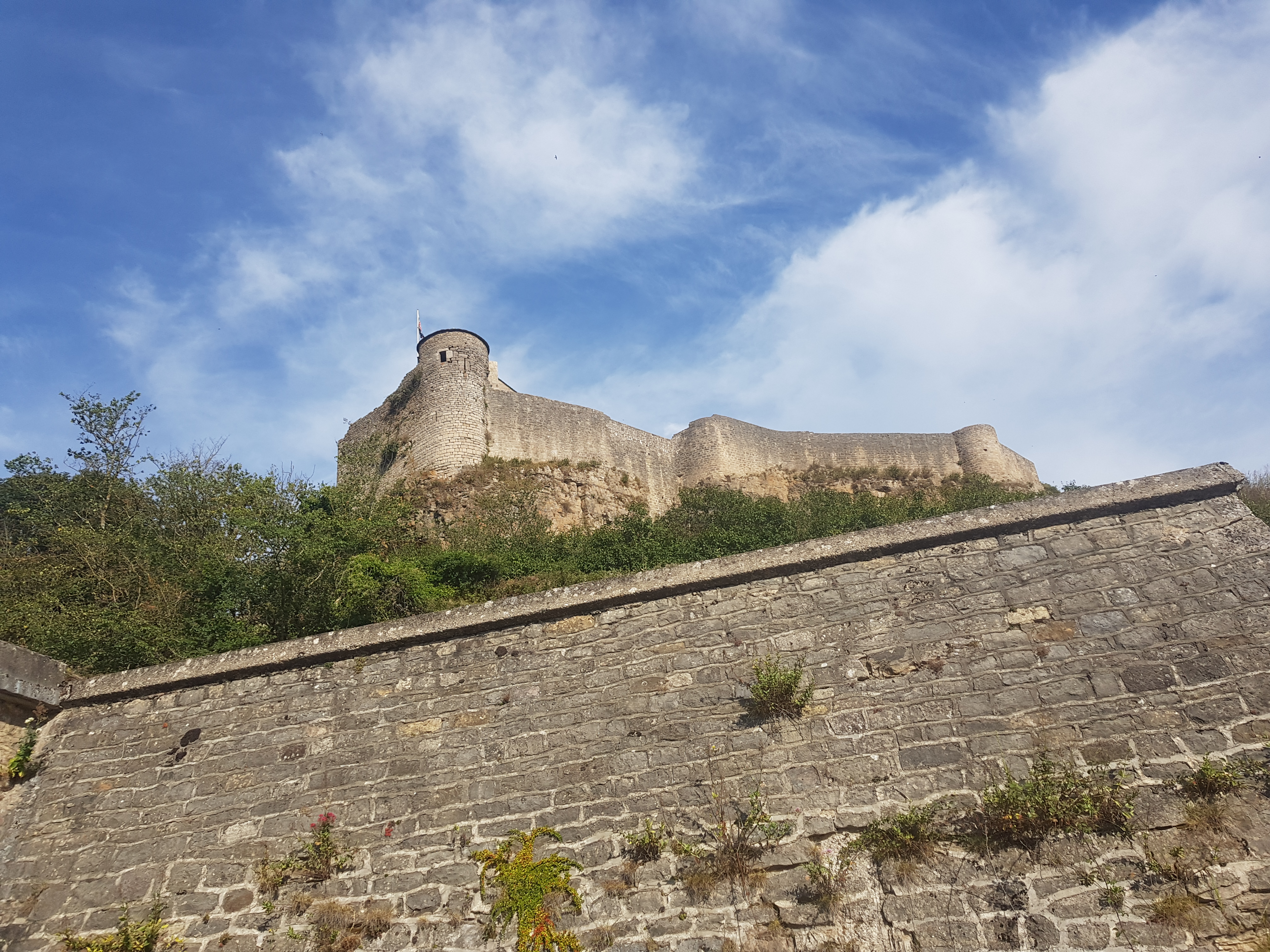 Photo n° 1 de l'avis de henri974.O fait le 12/08/2023 à 12:08