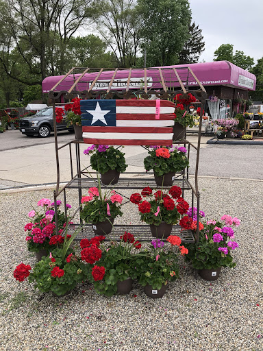 Florist «Dynamic Flowers of Royal Oak», reviews and photos, 3221 N Main St, Royal Oak, MI 48073, USA