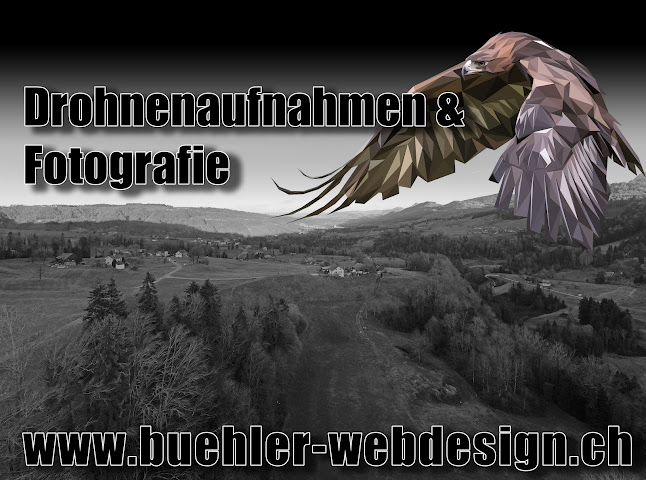 Bühler Webdesign - Drohnenaufnahmen, Webdesign, Grafikdesign - Webdesigner