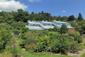 Neuchâtel Botanical Garden image