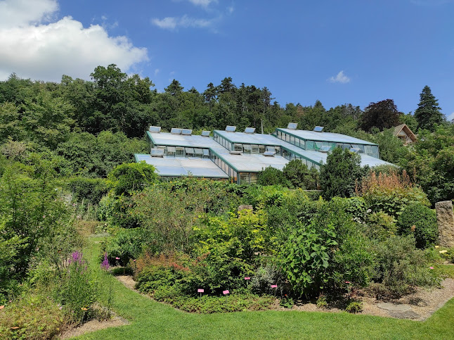 Neuchâtel Botanical Garden