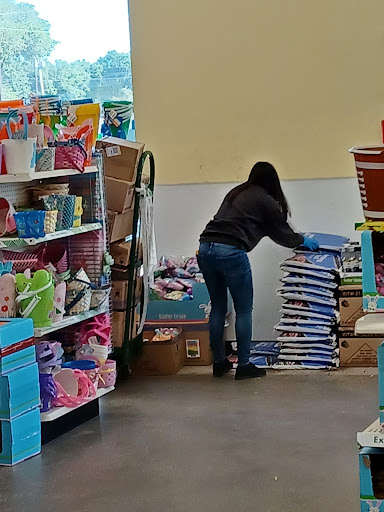 Dollar Store «Dollar Tree», reviews and photos, 16930 US-441 c, Mt Dora, FL 32757, USA