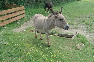 Ferme pédagogique de la béchère image