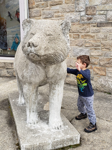 Bicycle Store «Outdoor Sports Center», reviews and photos, 80 Danbury Rd, Wilton, CT 06897, USA