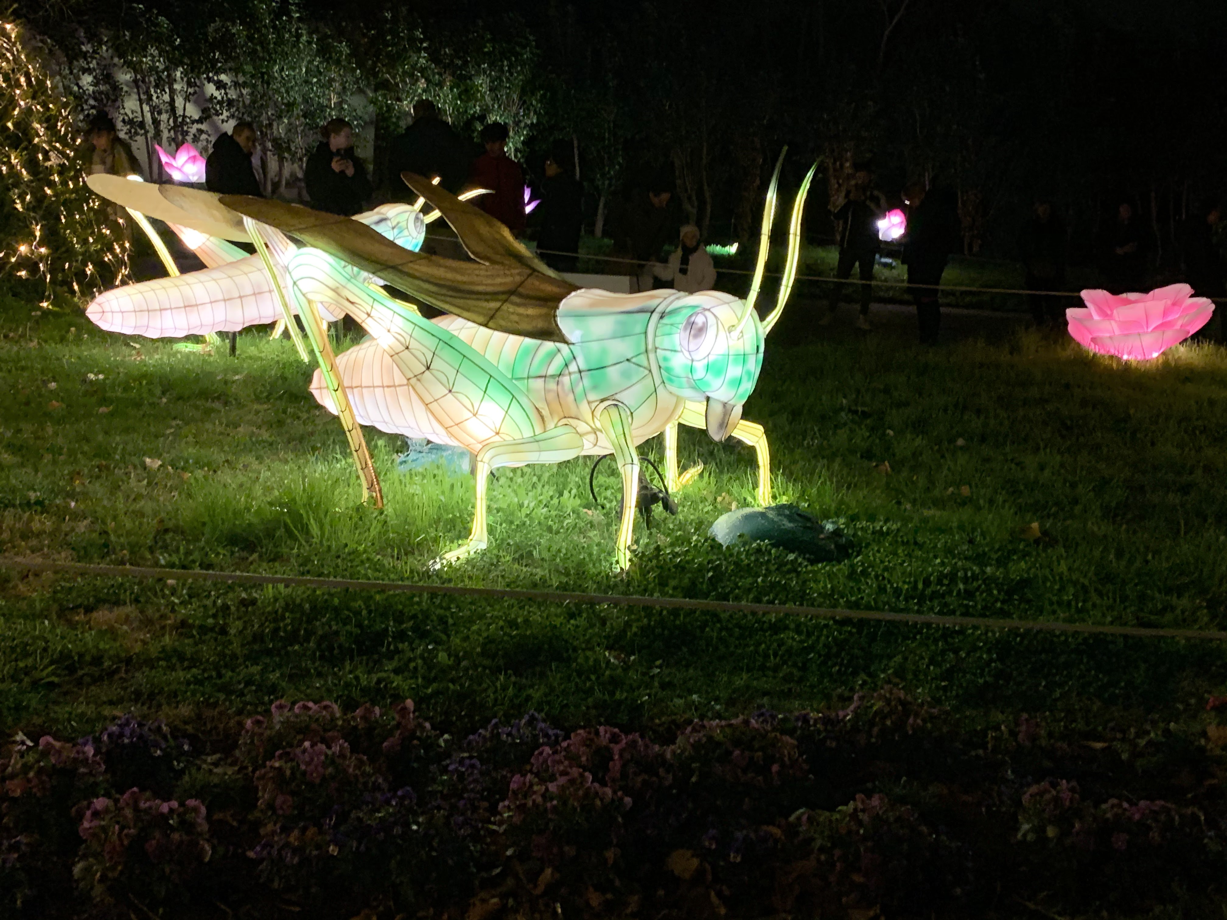 Photo n° 2 de l'avis de C.t fait le 08/01/2020 à 10:58