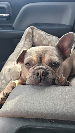 Tall City Veterinary Hospital