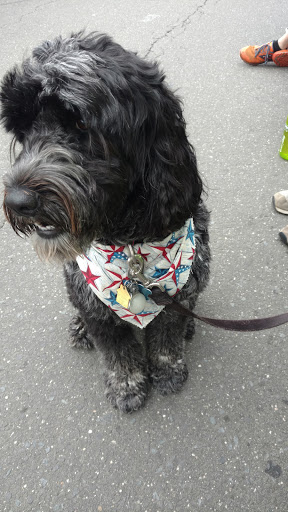 Pet Supply Store «The Natural Pet Outlet», reviews and photos, 3380 Fairfield Ave, Bridgeport, CT 06605, USA