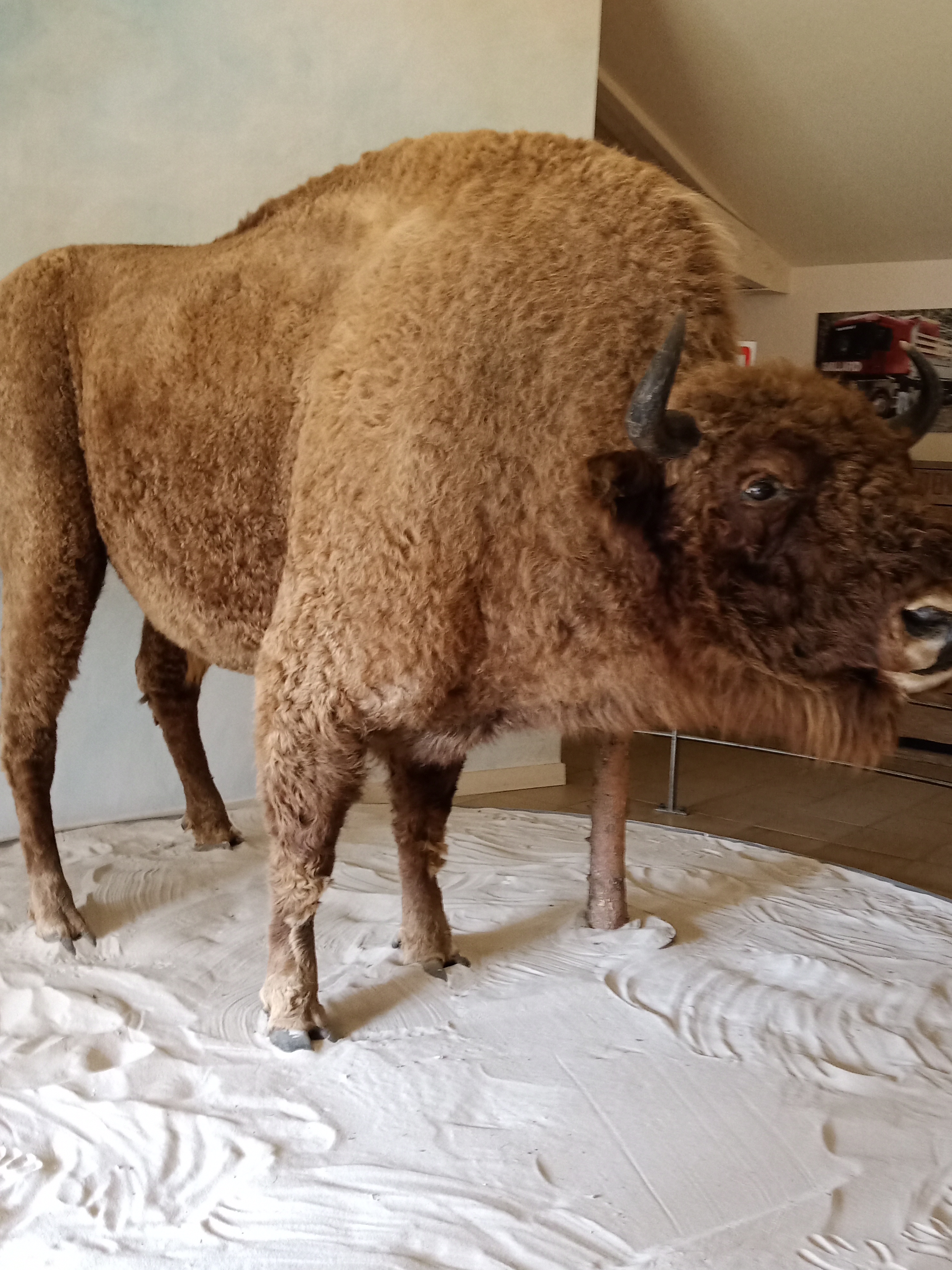 Photo n° 30 de l'avis de Marj.a fait le 18/07/2021 à 21:04