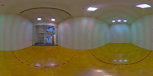 University Recreation - photo 51