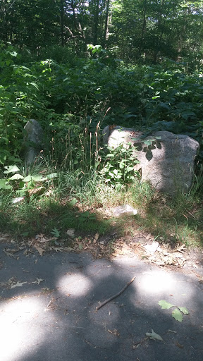 Golf Course «William J. Devine Golf Course at Franklin Park», reviews and photos, 1 Circuit Dr, Dorchester, MA 02121, USA