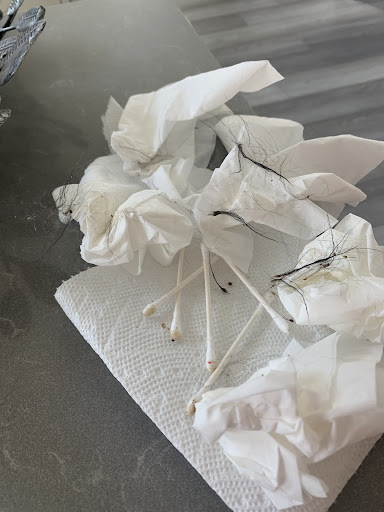 Pet Supply Store «PetSmart», reviews and photos, 4654 Milestone Ln, Castle Rock, CO 80104, USA