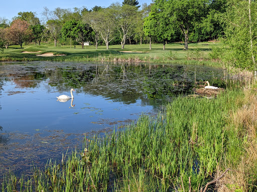 Golf Course «Fresh Pond Golf Course», reviews and photos, 691 Huron Ave, Cambridge, MA 02138, USA