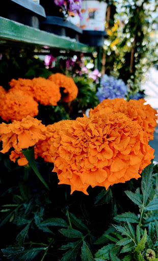 Home Improvement Store «The Home Depot», reviews and photos, 5010 Feather River Dr, Stockton, CA 95219, USA