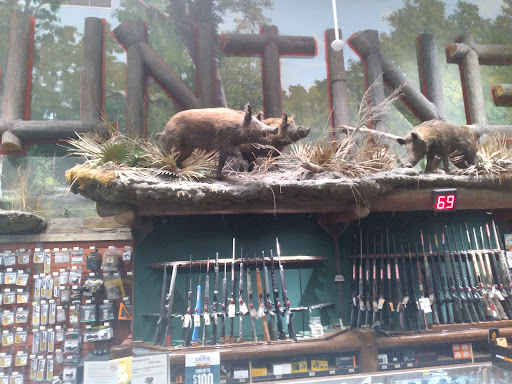 Sporting Goods Store «Bass Pro Shops», reviews and photos, 11551 NW 12th St, Miami, FL 33172, USA