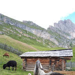 Photo n°7 de l'avis de Luisa.o fait le 23/03/2020 à 14:21 sur le  Troier Hütte à Santa Cristina Gherdëina