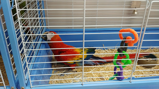 Bird Shop «Arizona Bird Store», reviews and photos, 565 S Dobson Rd, Mesa, AZ 85202, USA