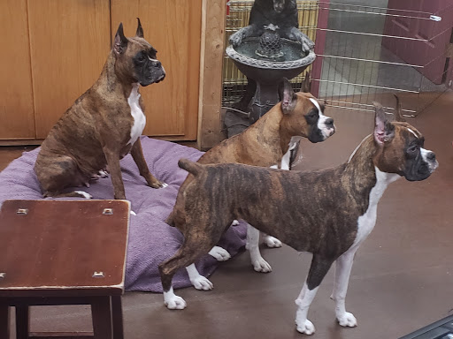 Pet Supply Store «Natural Pet NW», reviews and photos, 212 NE 164th Ave #8, Vancouver, WA 98684, USA