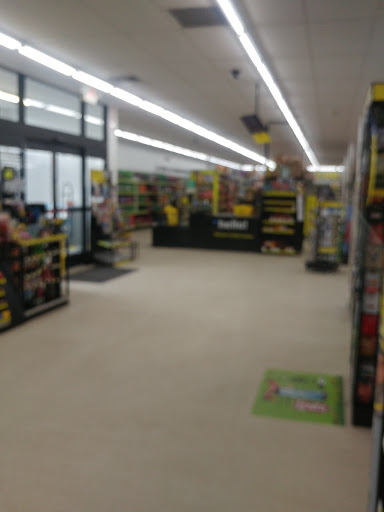 Discount Store «Dollar General», reviews and photos, 116 E Center St, Manchester, CT 06040, USA