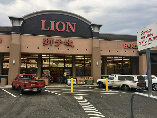 Food lion Santa Clara