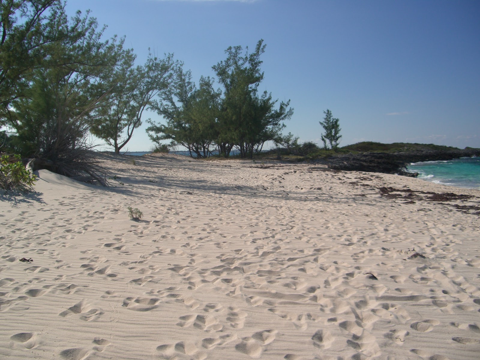 Valokuva Rose Island beachista. pinnalla kirkas hiekka ja kivet:n kanssa