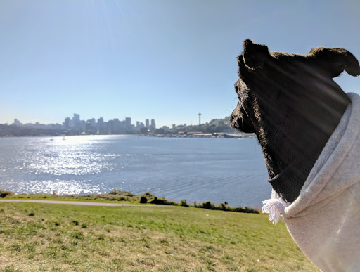 Park «Gas Works Park», reviews and photos, 2101 N Northlake Way, Seattle, WA 98103, USA