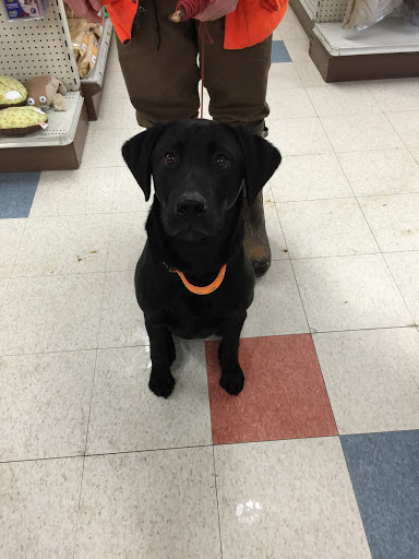 Pet Supply Store «Stoltzfus Feed & Supply», reviews and photos, 80 PA-41, Gap, PA 17527, USA