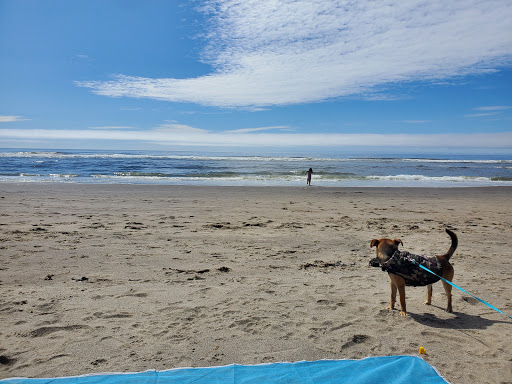 Grey Fox Inc Vacation Rentals