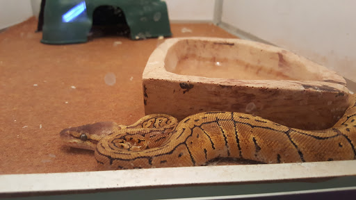 Animal Feed Store «Farmland Pets & Feed», reviews and photos, 9000 Silverdale Way NW, Silverdale, WA 98383, USA