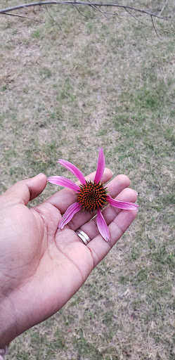 Park «Heritage Park», reviews and photos, 600 Spinks Rd, Flower Mound, TX 75028, USA