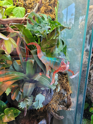 Pet Store «Fins Feathers Paws & Claws», reviews and photos, 436 Main St, Harleysville, PA 19438, USA