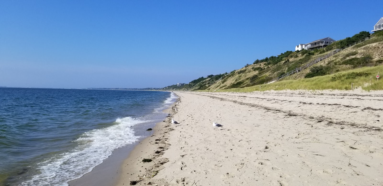 Foto van Corn Hill beach gelegen in een natuurlijk gebied