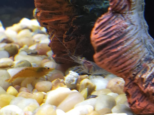 Pet Supply Store «Petco Animal Supplies», reviews and photos, 103 Commerce Way a, Woburn, MA 01801, USA