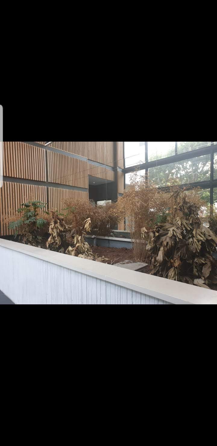 Photo n° 3 de l'avis de Yuan.H fait le 29/07/2019 à 09:48