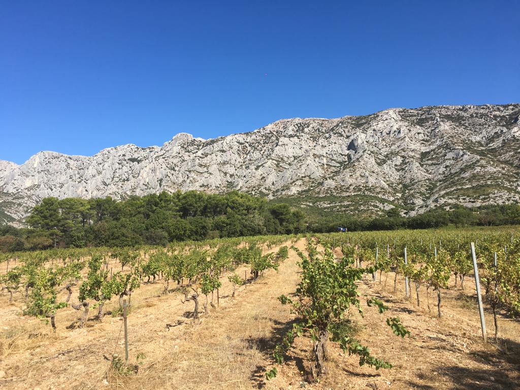 Photo n° 1 de l'avis de Thomas.e fait le 04/09/2023 à 18:35