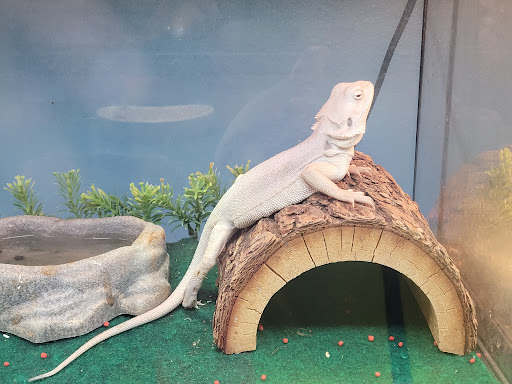 Reptile Store «Nature Box Pet Emporium», reviews and photos, 13722 E Quincy Ave, Aurora, CO 80015, USA