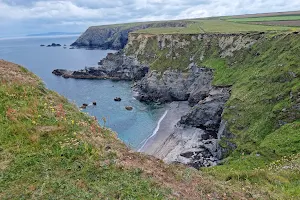 Mutton Cove image