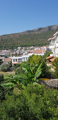 Pharos Boutique Hotel